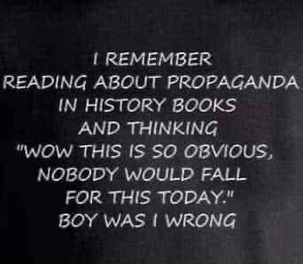 REMEMBER READING ABOUT PROPAGANDA IN HISTORY BOOKS AND THINKING WOW THIS IS SO OBVIOUS NOBODY WOULD FALL FOR THIS TODAY i QVECR RV o e