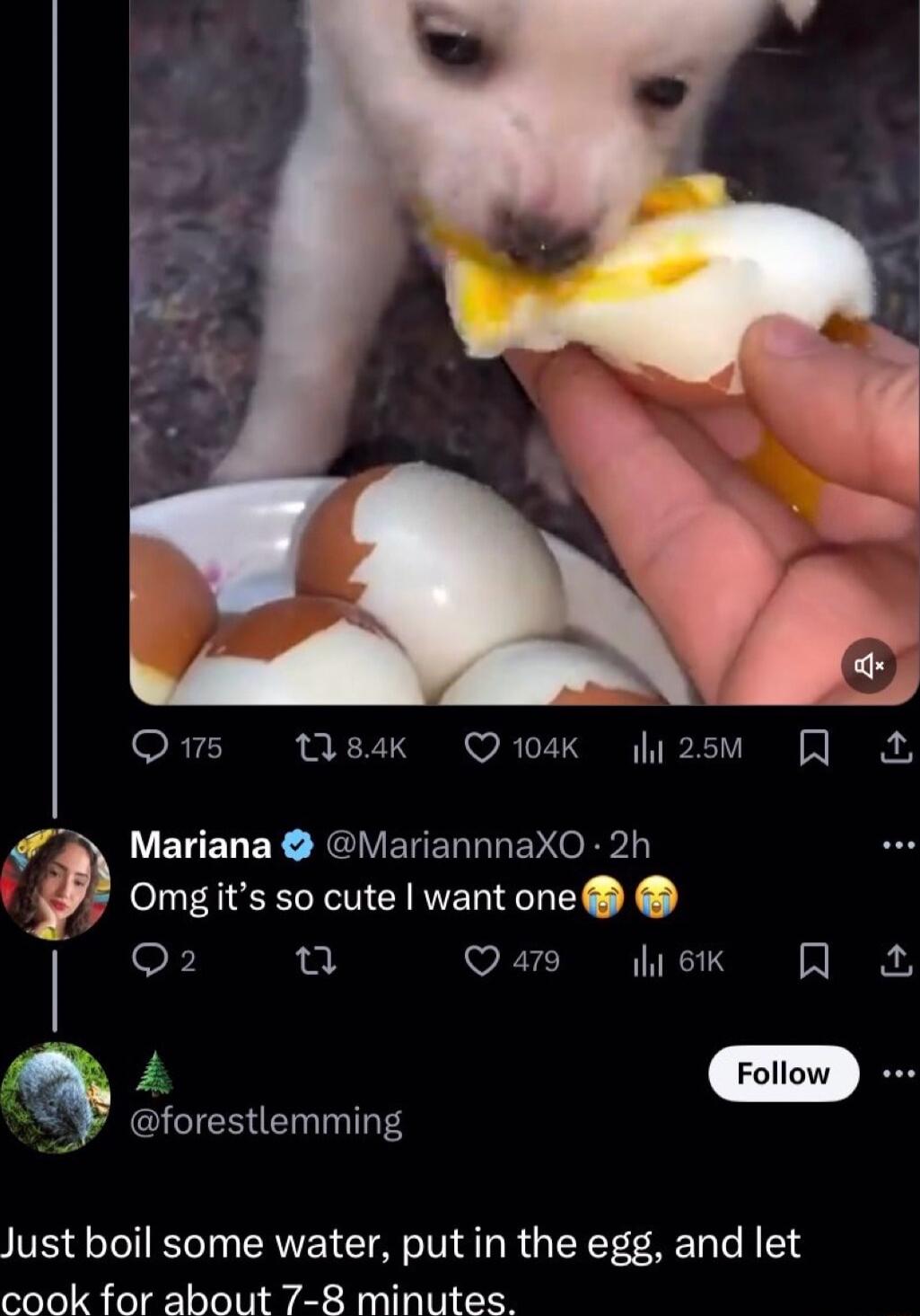 Qs 84k Q104K i2sm Mariana Mariannnax0 2h y Omgits so cute want one oX g Qarm ek Q forestlemming Just boil some water put in the egg and let cook for about 7 8 minutes