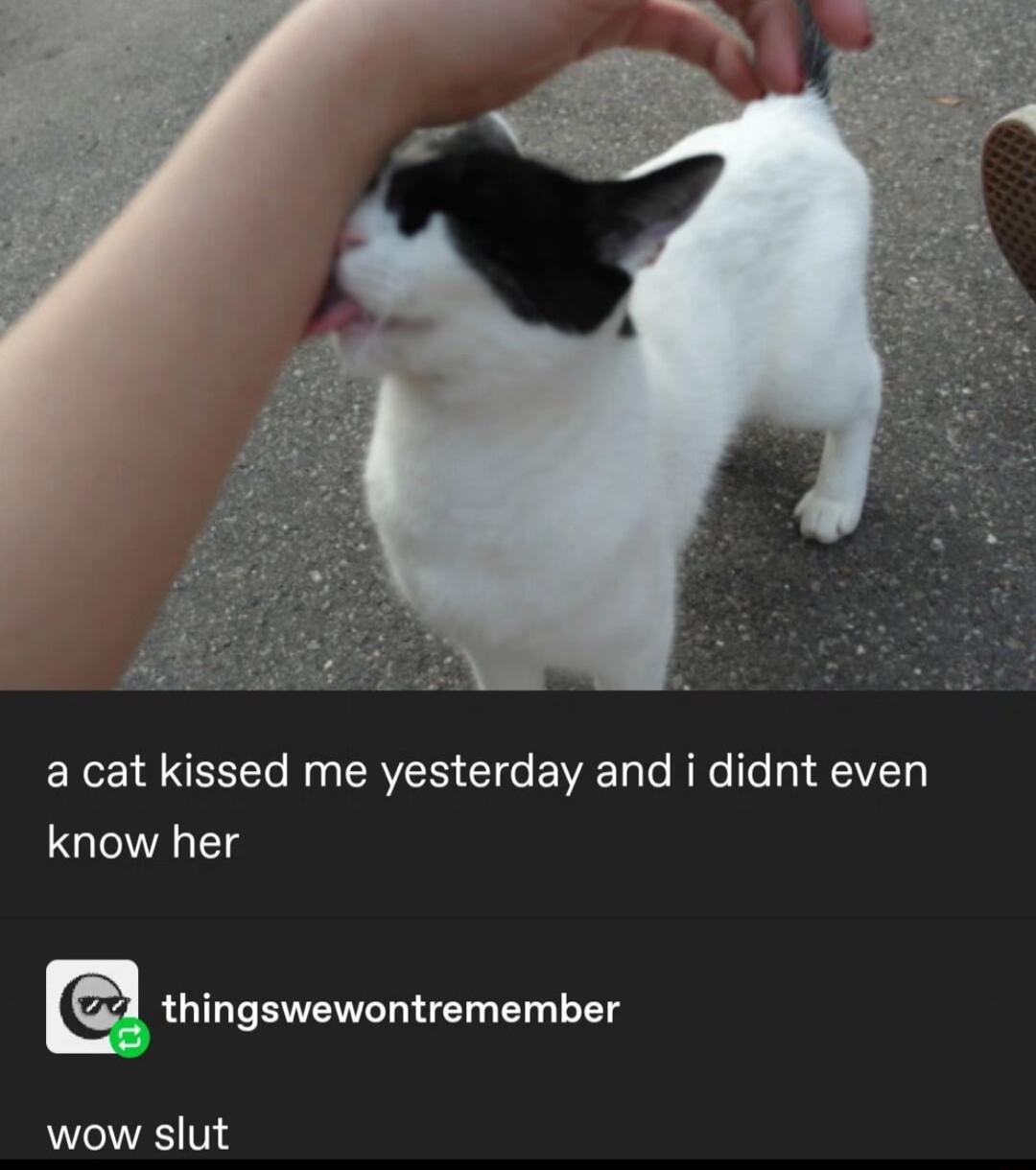X AR R PRV Cl VT o RRe o V know her thingswewontremember wow slut