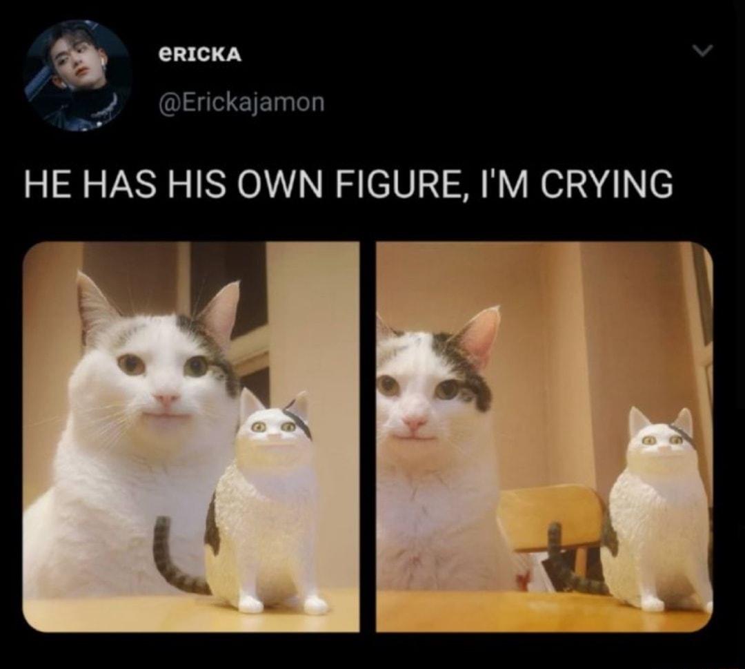 a eRICKA Erickajamon o HE HAS HIS OWN FIGURE IM CRYING