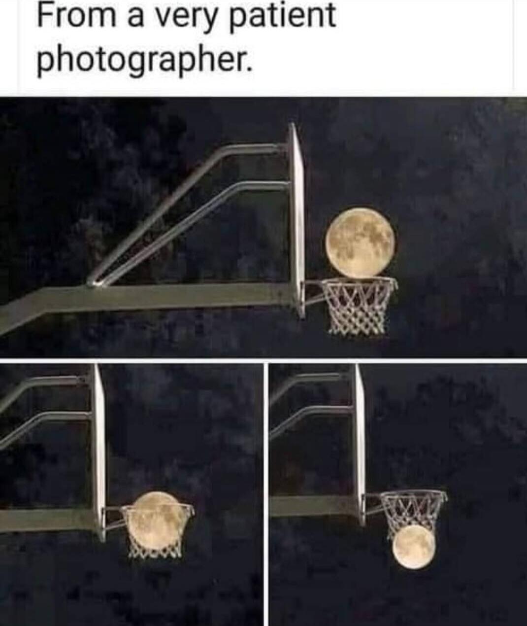 From a very patient photographer.