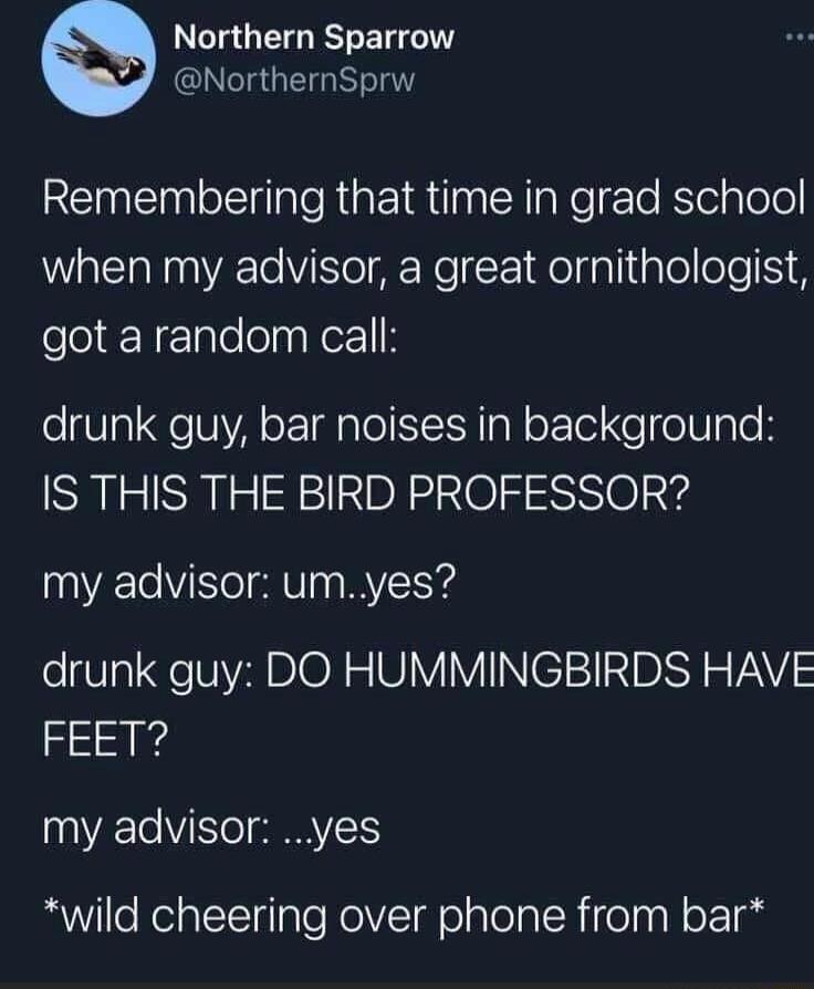 LI GG R ET T NorthernSprw RENENElilale Rl N aReTe Kl plole when my advisor a great ornithologist got a random call drunk guy bar noises in background IS THIS THE BIRD PROFESSOR my advisor umyes drunk guy DO HUMMINGBIRDS HAVE R R0YATe Vo G il ReiatTalale oV olalelaleR el p N o 1o