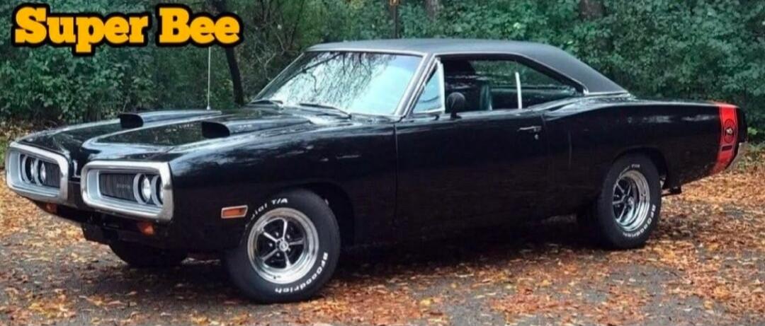 Super Bee
Session ID: 1014648.