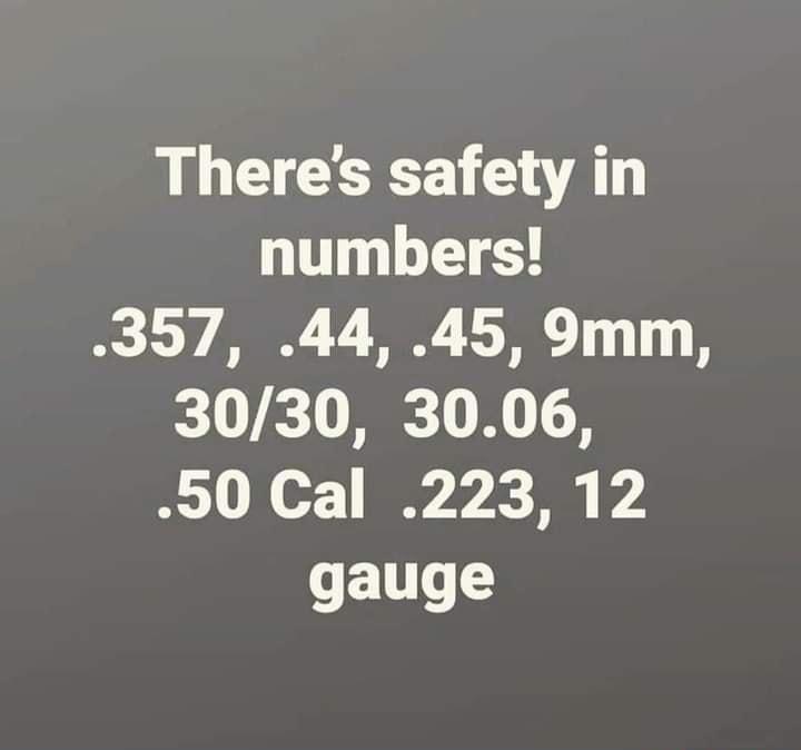 LU GG WAL numbers 357 44 45 9mm 3030 3006 50 Cal 223 12 gauge