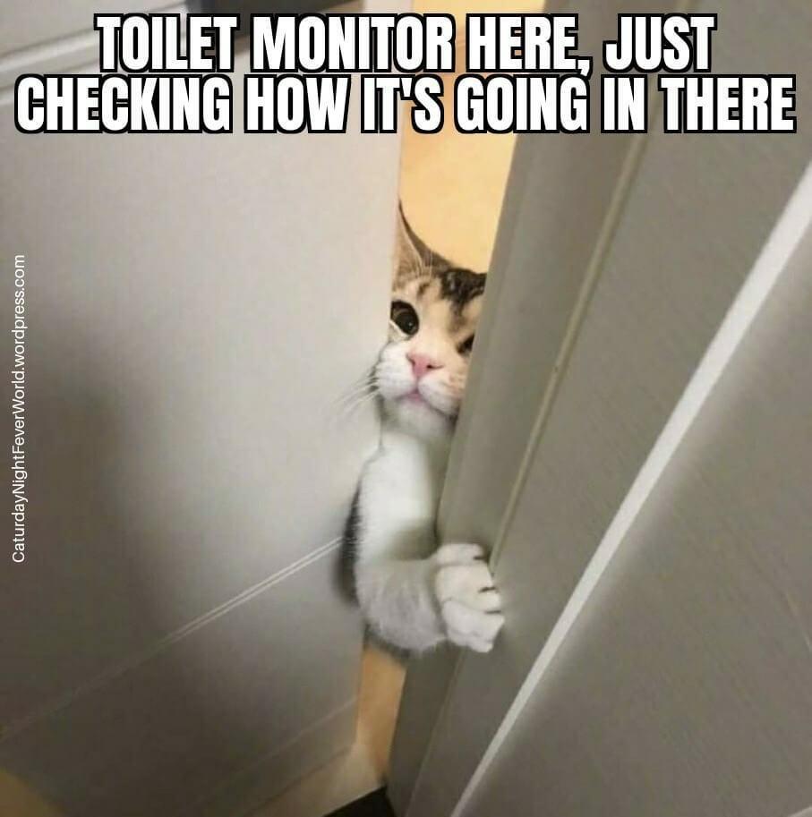 TOILETMONITORIHERE JUST CHECKINGIHOWITiSGOING INTHERE