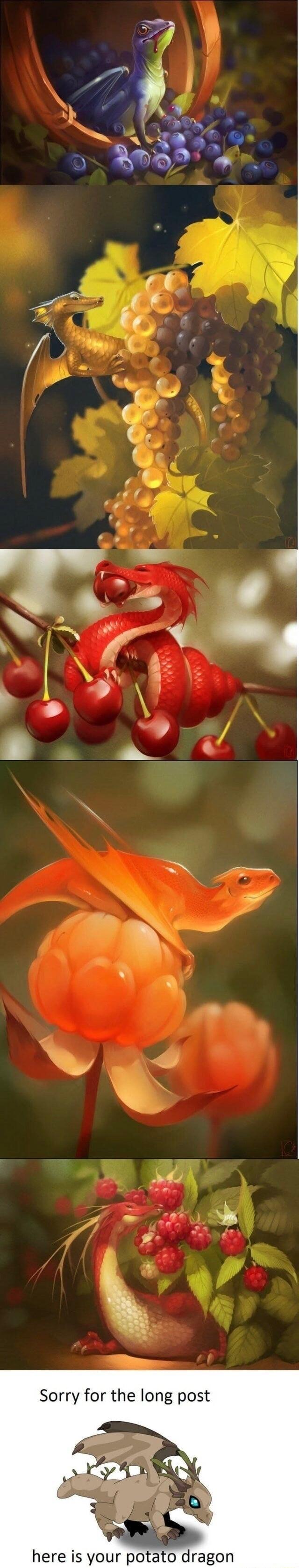 here is your potato dragon