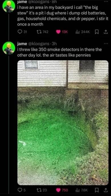 i have an area in my backyard i call 