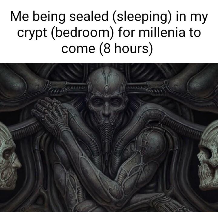 Me being sealed sleeping in my crypt bedroom for millenia to come 8 hours