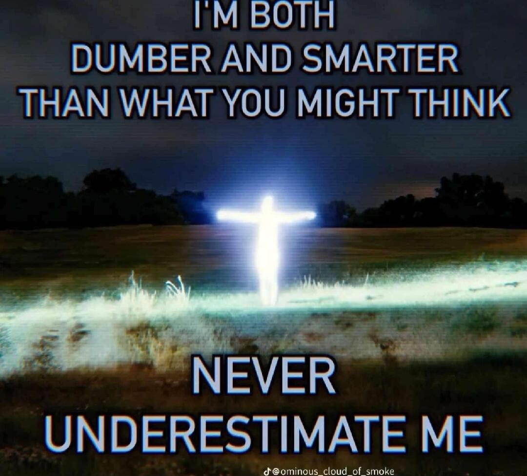 IM BOTH DUMBER AND SMARTER THAN WHAT YOU MIGHT THINK