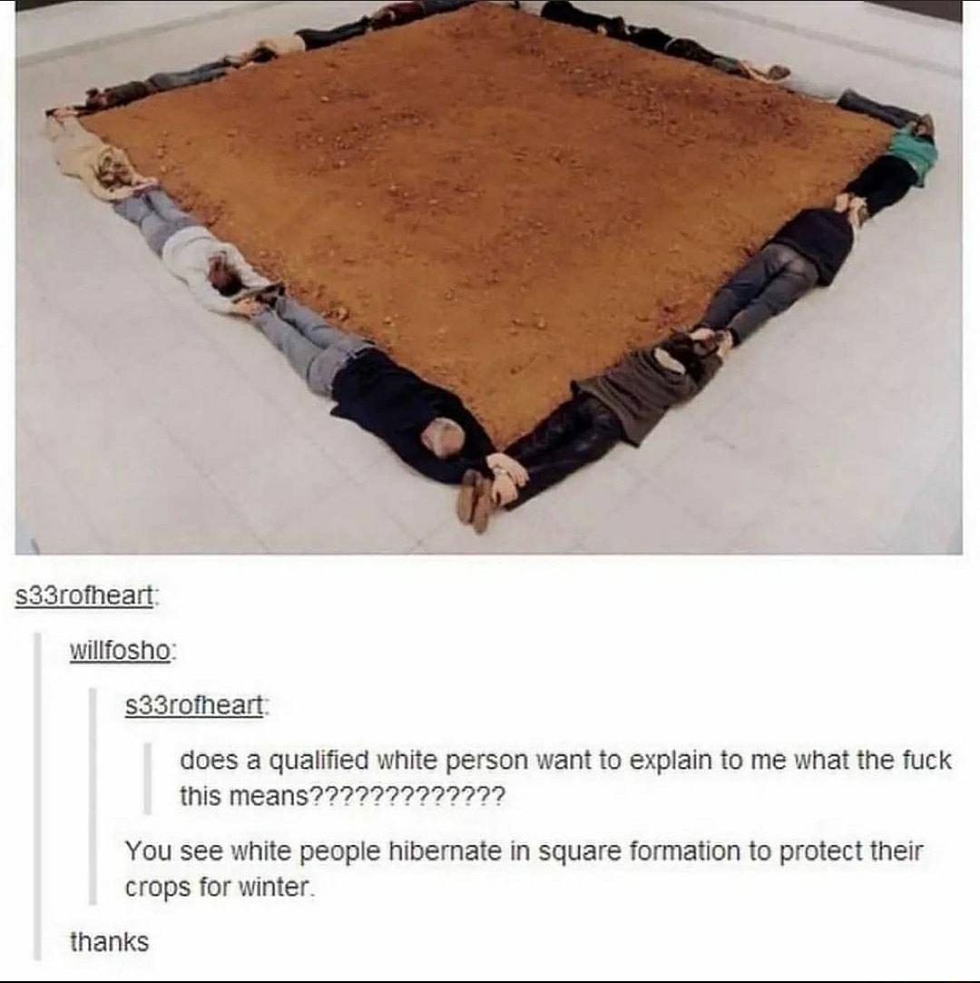 sadromeart iifosho s33romeart oes a qualified white person want to explain to me what the fuck this means227277222777 You see white people hiberate in square formation o protect their crops for winter thanks