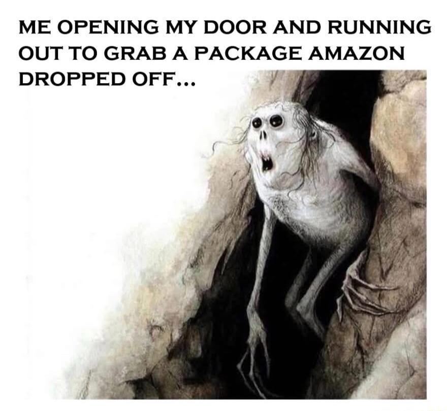 ME OPENING MY DOOR AND RUNNING OUT TO GRAB A PACKAGE AMAZON DROPPED OFF...