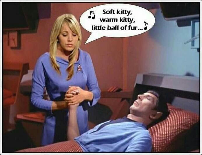 Soft kitty, warm kitty,
little ball of fur...