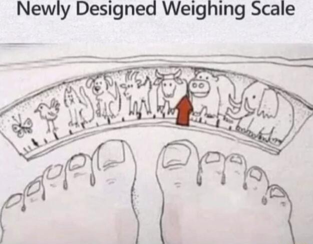 Newly Designed Weighing Scale