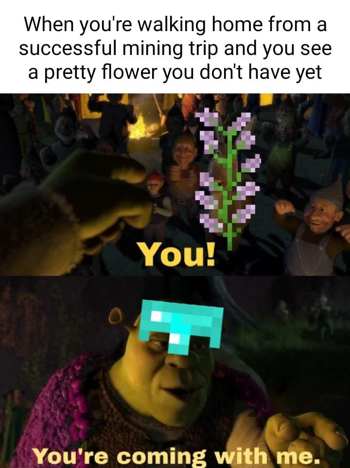 When youre walking home from a successful mining trip and you see a pretty flower you dont have yet b Youre coming v