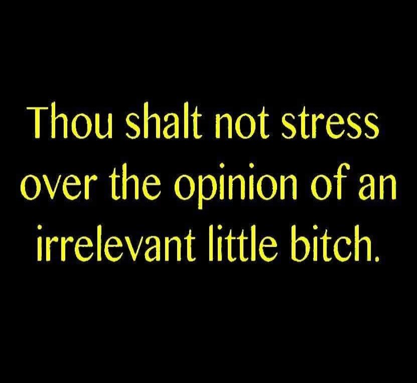 Thou shalt not stress over the opinion of an irrelevant little bitch.