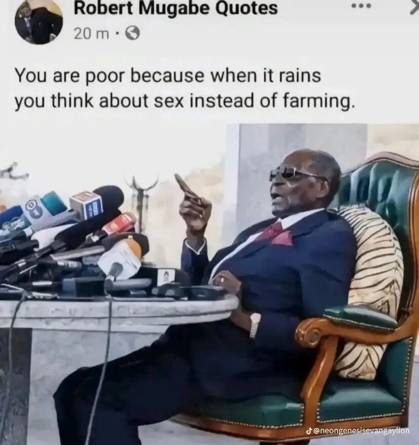 Robert Mugabe Quotes om You are poor because when it rains you think about sex instead of farming