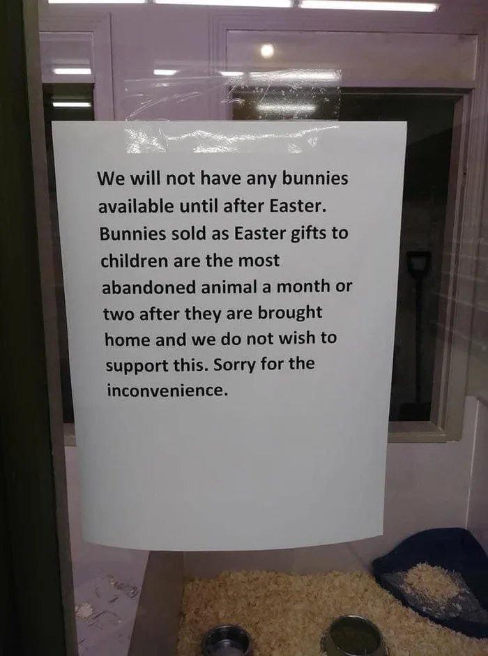 We will not have any bunnies available until after Easter Bunnies sold as Easter gifts to children are the most abandoned animal a month or two after they are brought home and we do not wish to support this Sorry for the inconvenience