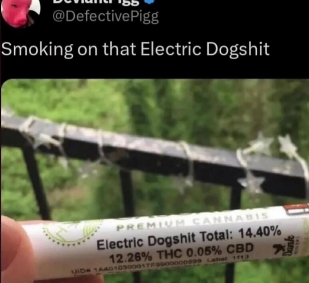 Smoking on that Electric Dogshit
Electric Dogshit
Premium Cannabis
12.26% THC 0.05% CBD