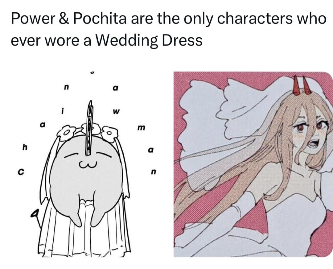 Power Pochita are the only characters who ever wore a Wedding Dress