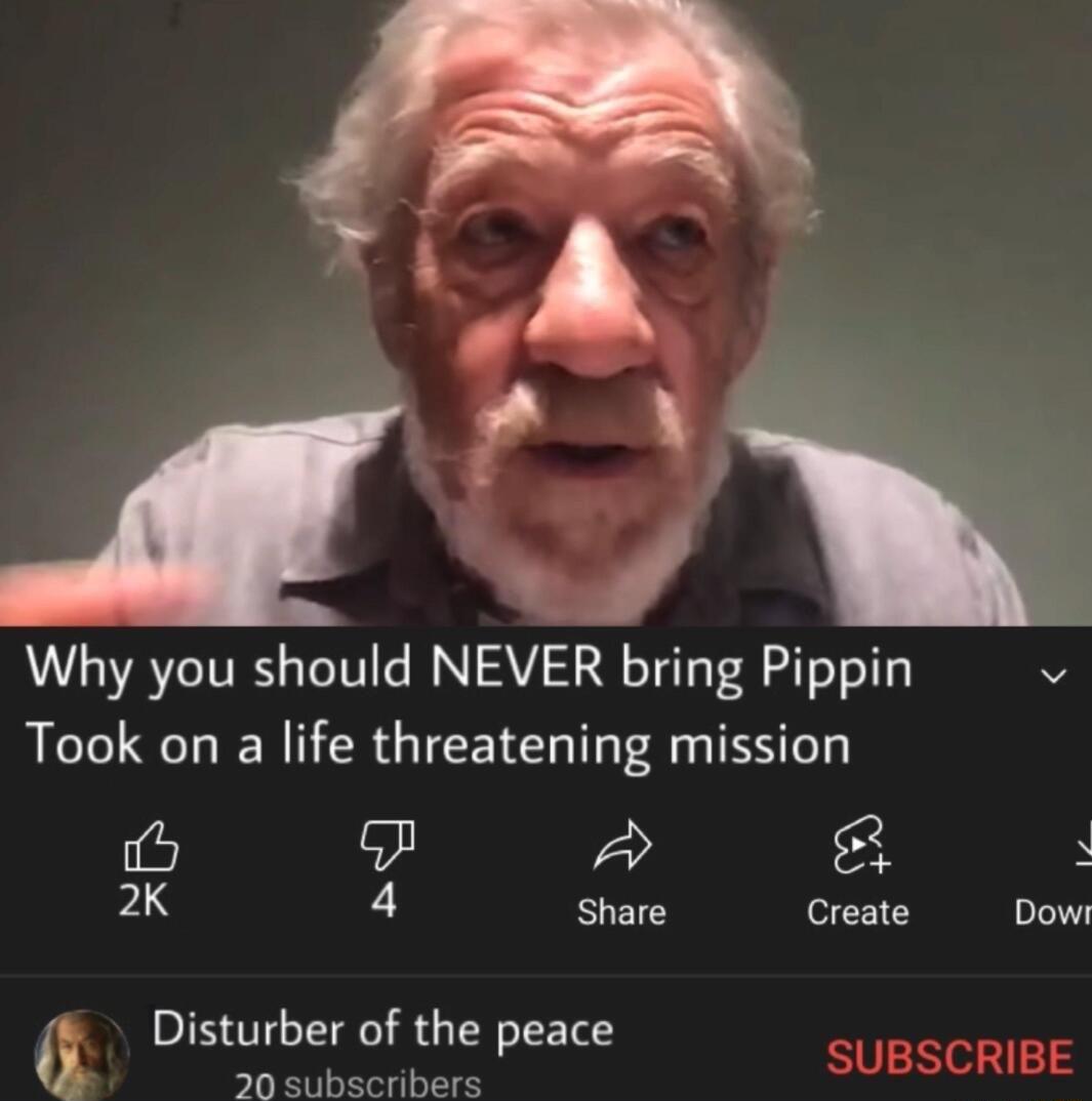 Why you should NEVER bring Pippin Took on a life threatening mission 6 5 A 2K 4 Share Create Dow Disturber of the peace I P 20 subscribers SUBSCRIBE