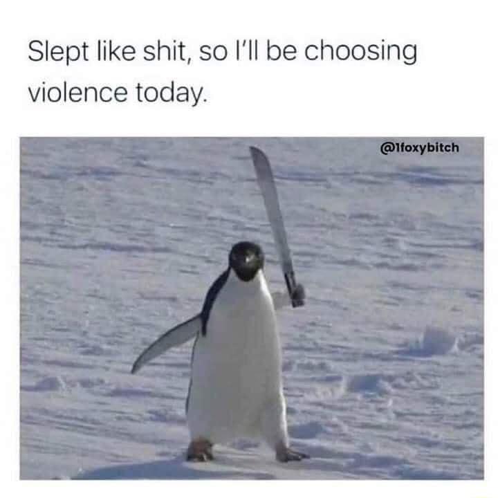 Slept like shit so Ill be choosing violence today