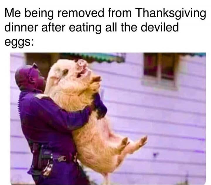 Me being removed from Thanksgiving dinner after eating all the deviled eggs:
