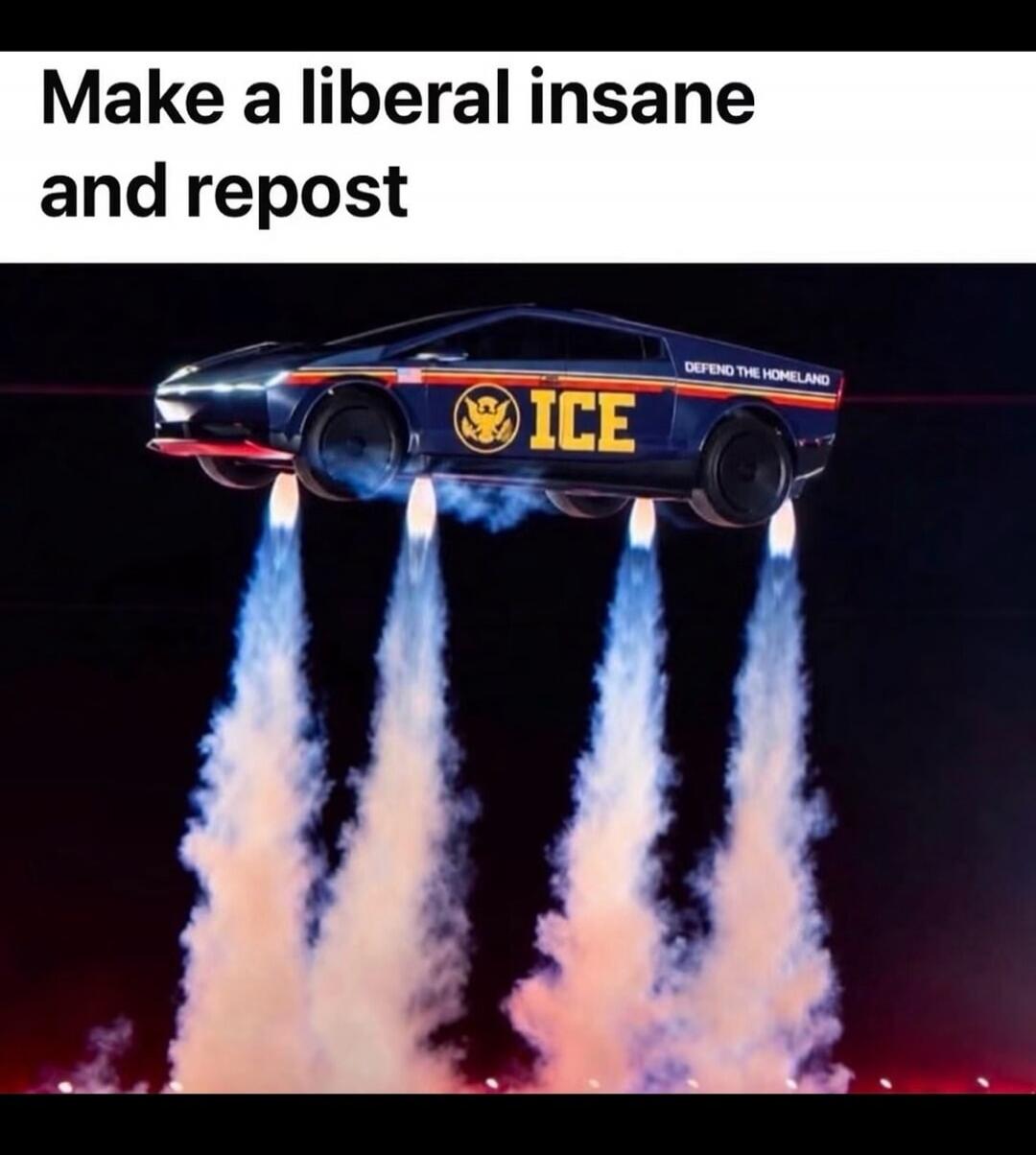 Make a liberal insane and repost ICE DEFEND THE HOMELAND