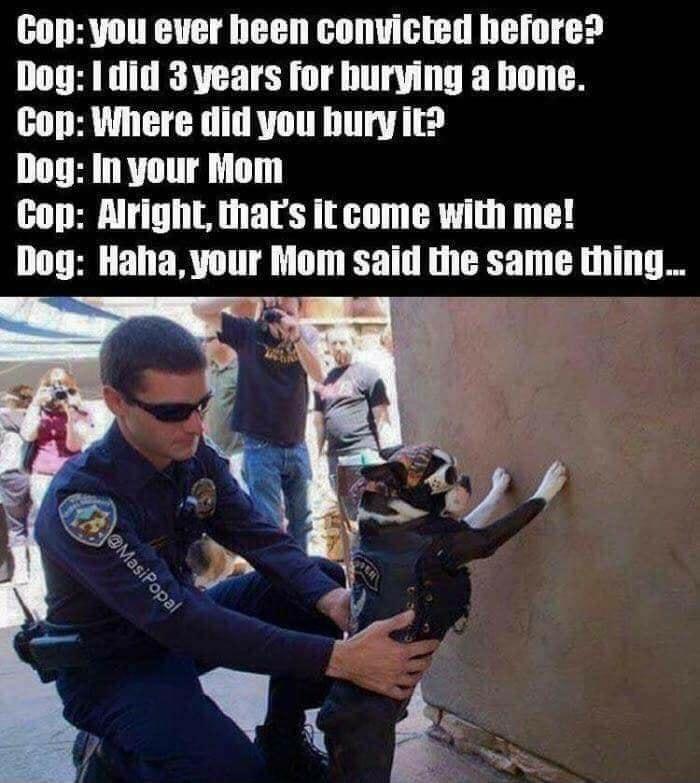 Copyou ever heen convicted hefore Dog 1 did 3 years for burying a hone Cop Where did you bury it Dog In your Mom Cop Alright thats it come with me Dog Haha vour Mom said the same thing