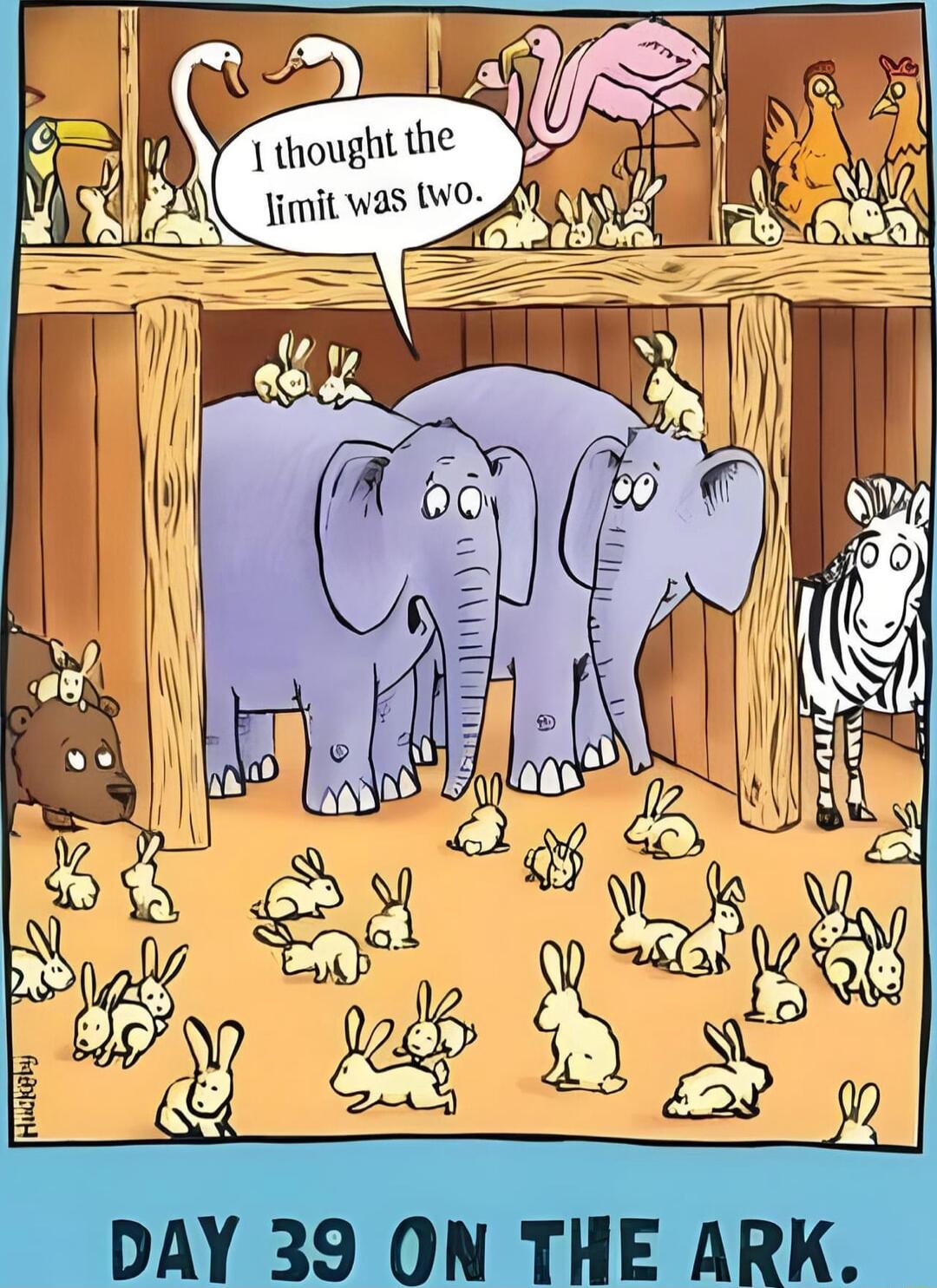 DAY 39 ON THE ARK