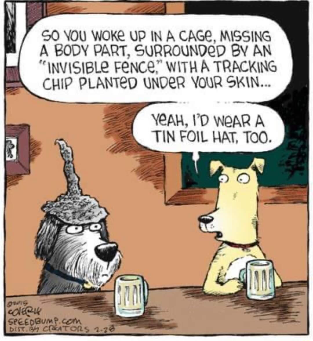 S0 YOU WOKE UP IN A CAGE MISSING A BODY PART SURROUNDRD BY AN INVISIBLE FENCR WITH A TRACKING CHIP PLANTED UNDRR YOUR SKIN YEAH ID WeAR A TIN FOIL HAT T0O