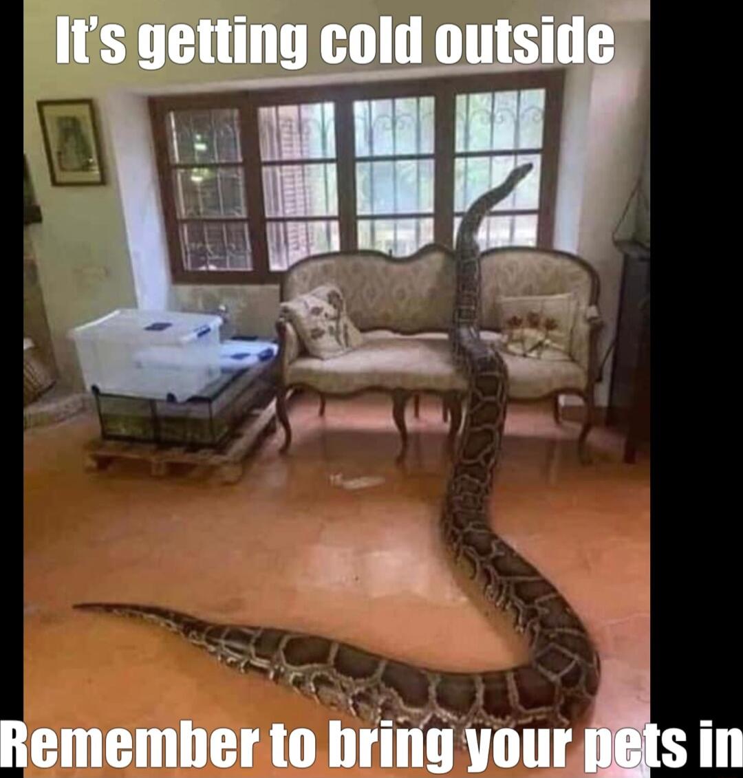 Its getting cold Remember io hring your s in