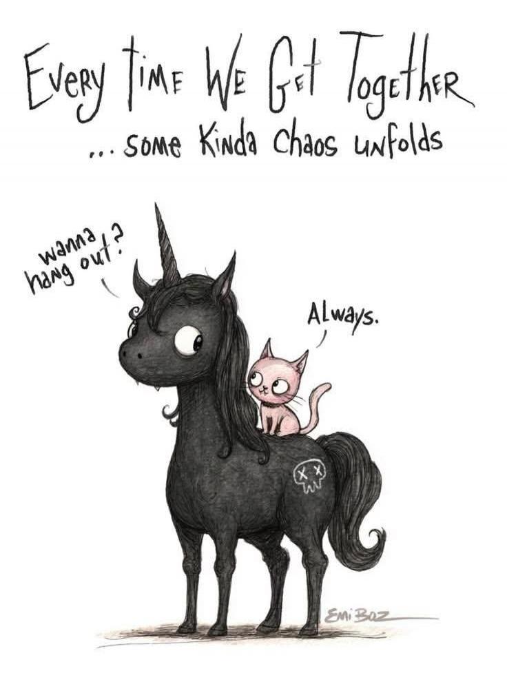 Every time we get together ... some kinda chaos unfolds. Wanna hang out? Always.