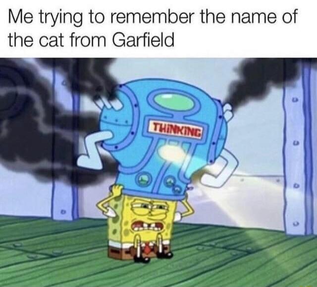 Me trying to remember the name of the cat from Garfield