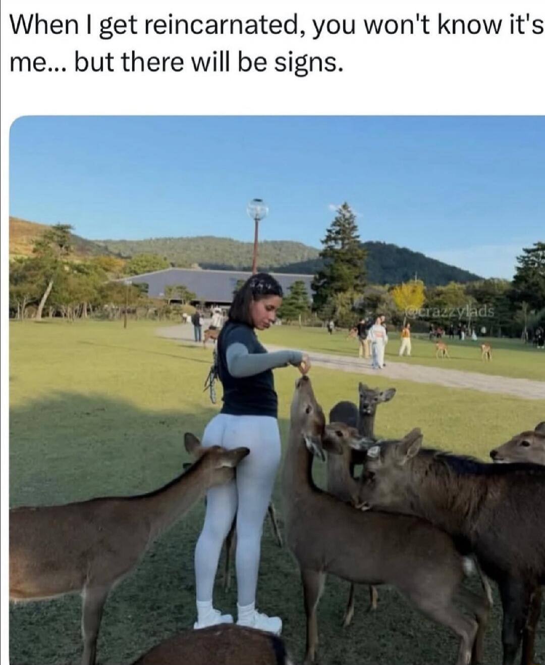 When I get reincarnated, you won't know it's me... but there will be signs.