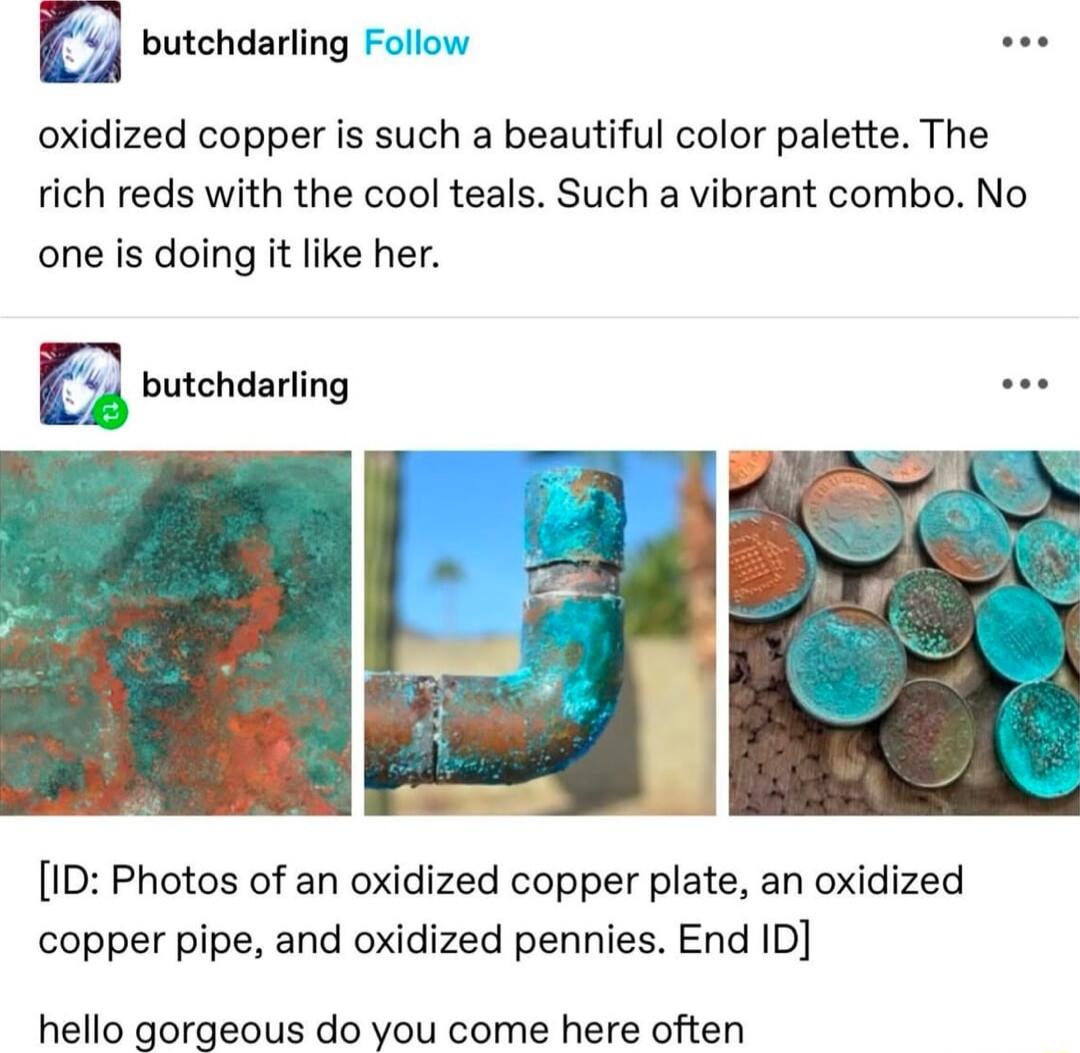 K butchdarling Fo oxidized copper is such a beautiful color palette The rich reds with the cool teals Such a vibrant combo No one is doing it like her butchdarling ID Photos of an oxidized copper plate an oxidized copper pipe and oxidized pennies End D hello gorgeous do you come here often