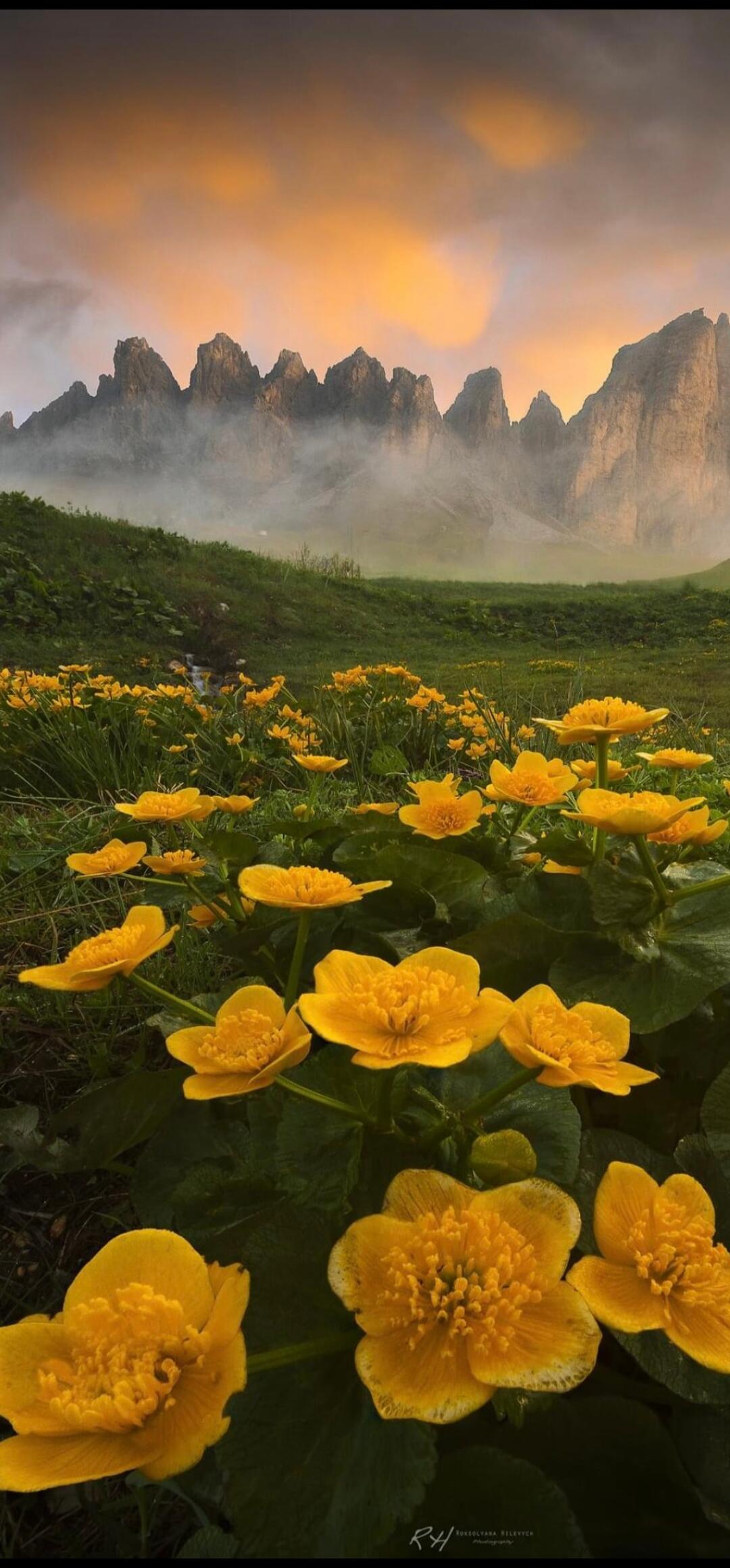 RH ROKSOLYANA HILEVYCH PHOTOGRAPHY