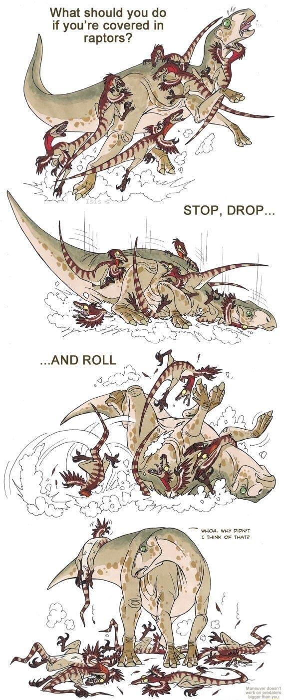 What should you do if youre covered in raptors