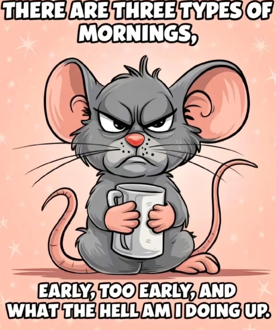 There are three types of mornings, early, too early, and what the hell am I doing up.