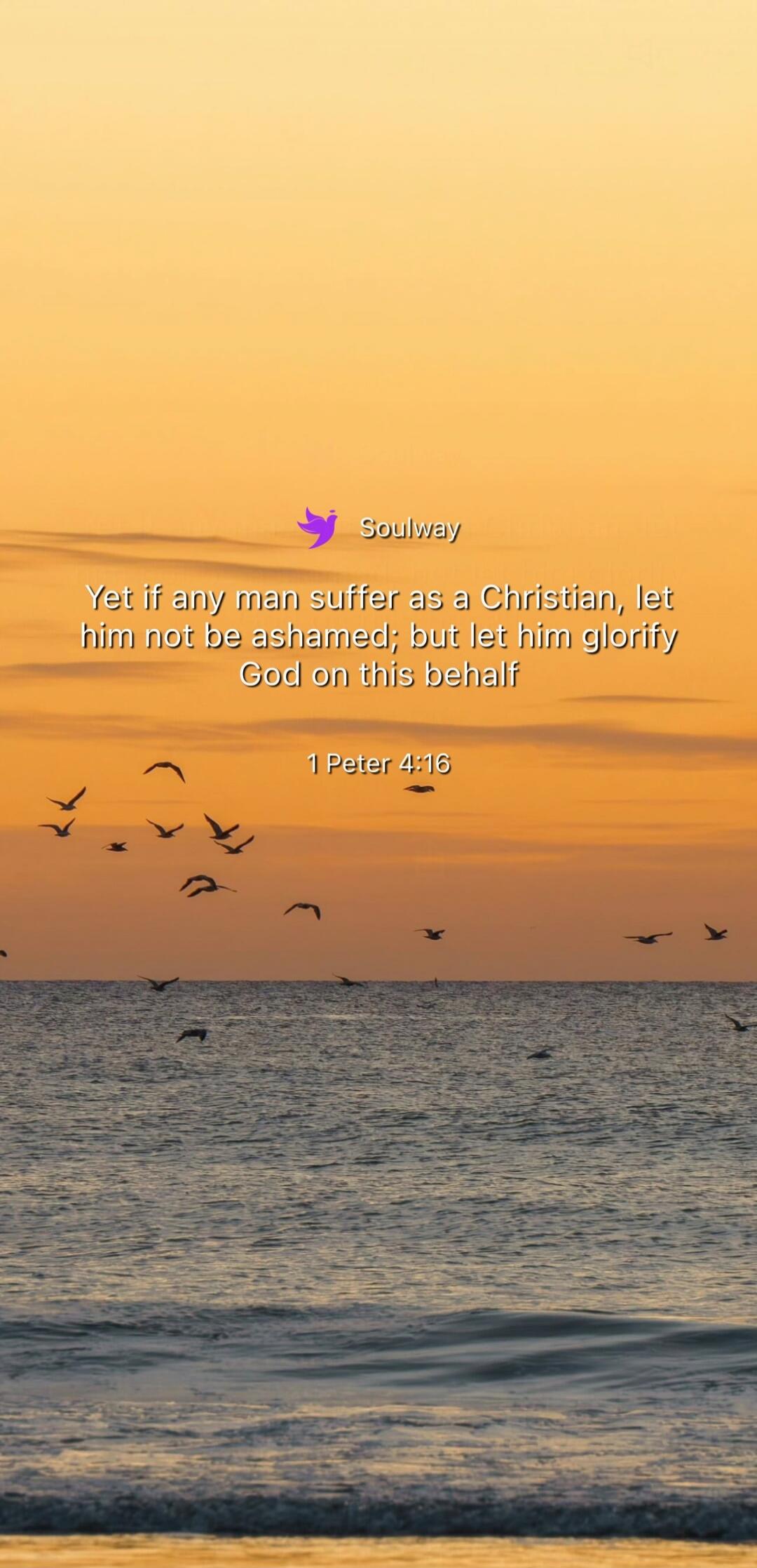 Soulway Yet if any man suffer as a Christian, let him not be ashamed; but let him glorify God on this behalf 1 Peter 4:16