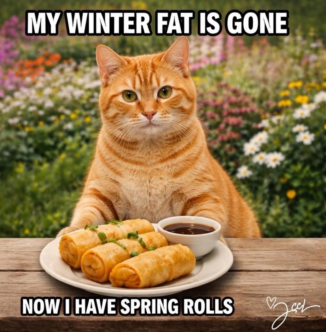 MY WINTER FAT IS GONE NOW I HAVE SPRING ROLLS