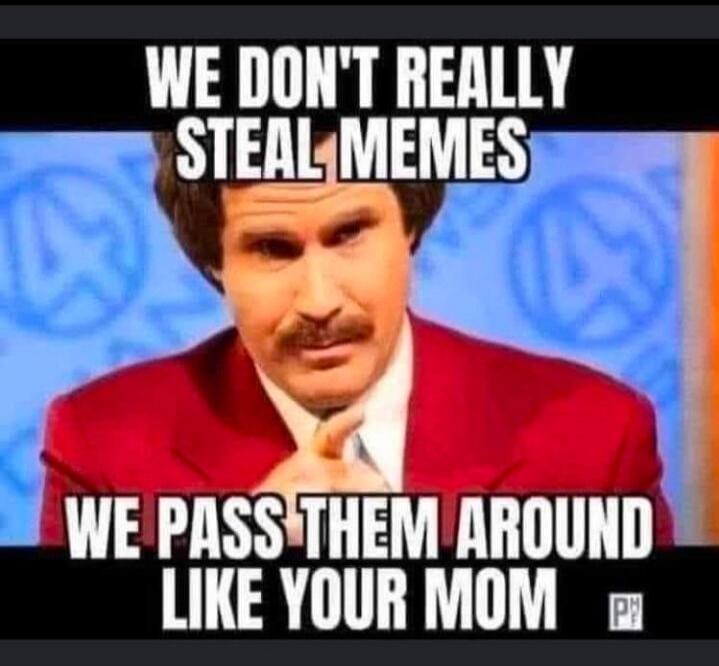 WE DON'T REALLY STEAL MEMES WE PASS THEM AROUND LIKE YOUR MOM