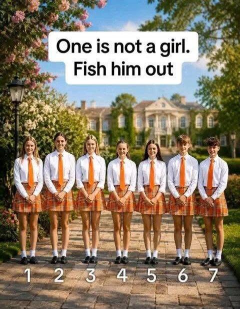 One is not a girl. Fish him out