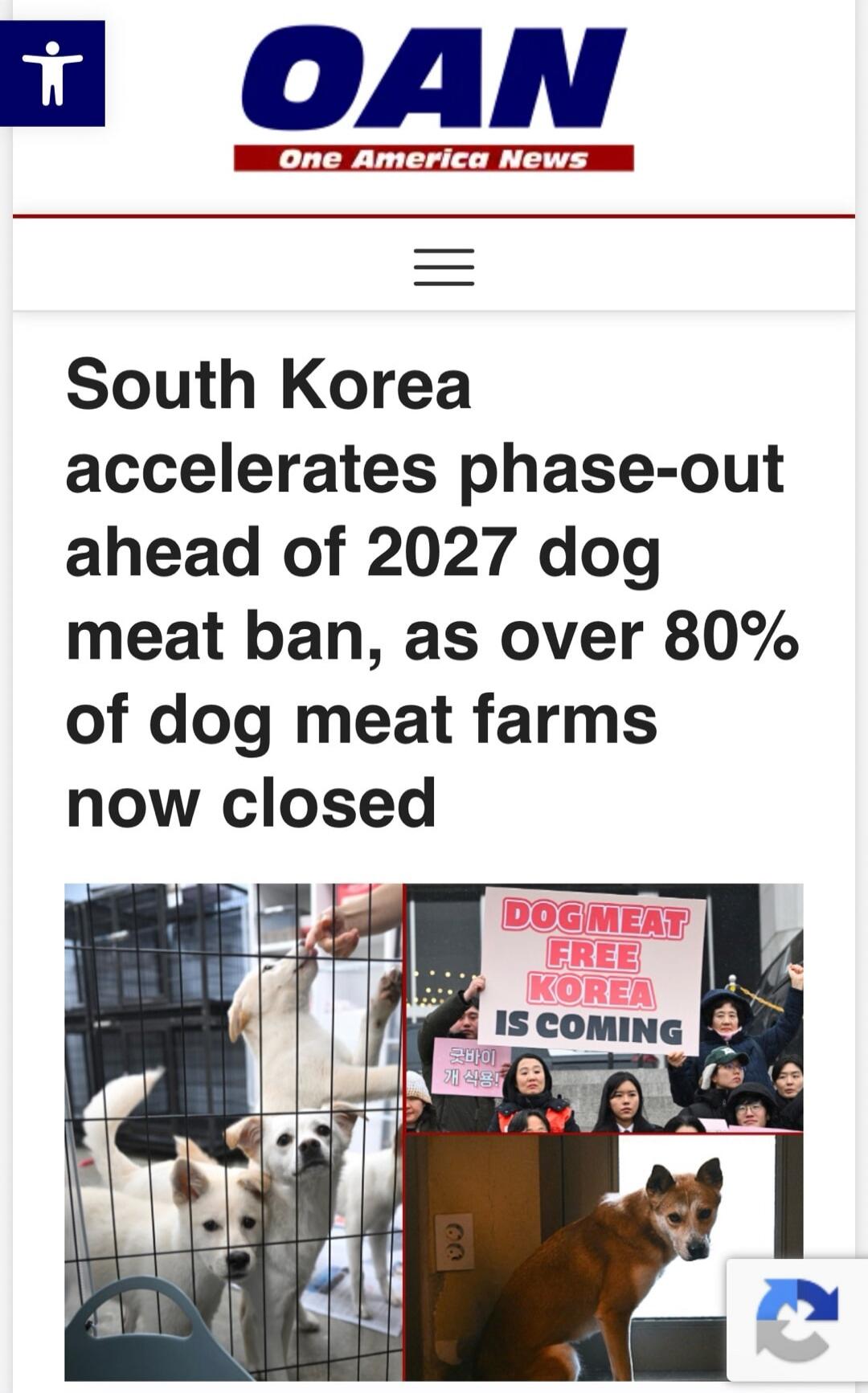 OAN One America News South Korea accelerates phase-out ahead of 2027 dog meat ban, as over 80% of dog meat farms now closed. DOGMEAT FREE KOREA IS COMING. Goodbye dog meat!