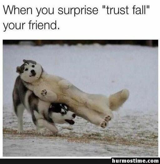 When you surprise trust fall your friend