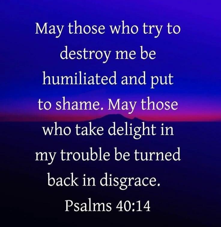 May those who try to destroy me be humiliated and put to shame. May those who take delight in my trouble be turned back in disgrace. Psalms 40:14