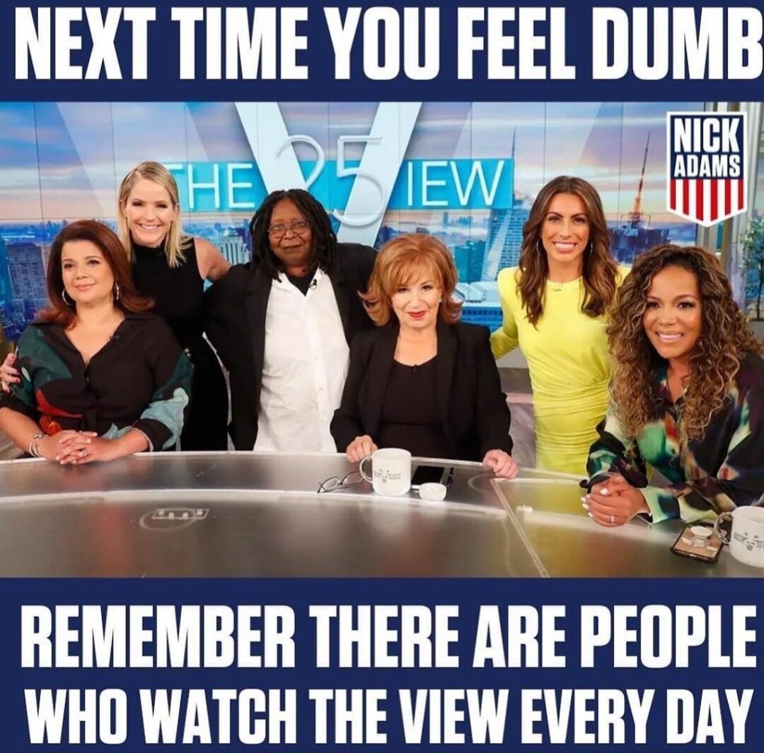 NEXT TIME YOU FEEL DUMB REMEMBER THERE ARE PEOPLE WHO WATGH THE VIEW EVERY DAY