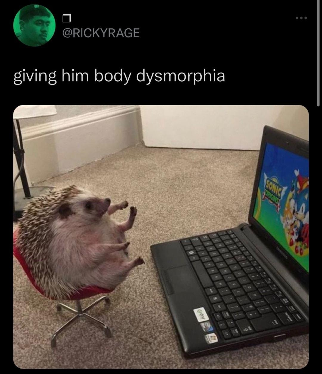 A RICKYRAGE giving him body dysmorphia 730 PM 11822 Twitter for iPhone 5082 Retweets 111 Quote Tweets 509K Likes