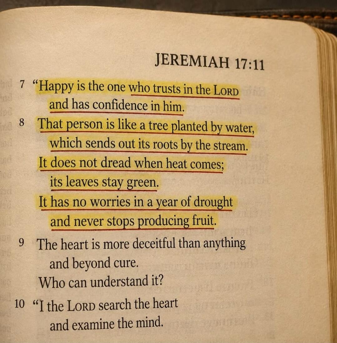 JEREMIAH 17:11. Happy is the one who trusts in the LORD and has confidence in him. That person is like a tree planted by water, which sends out its roots by the stream. It does not dread when heat comes; its leaves stay green. It has no worries in a year of drought and never stops producing fruit. The heart is more deceitful than anything and beyon