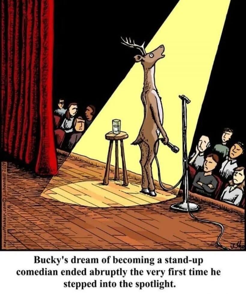 Bucky's dream of becoming a stand-up comedian ended abruptly the very first time he stepped into the spotlight.
