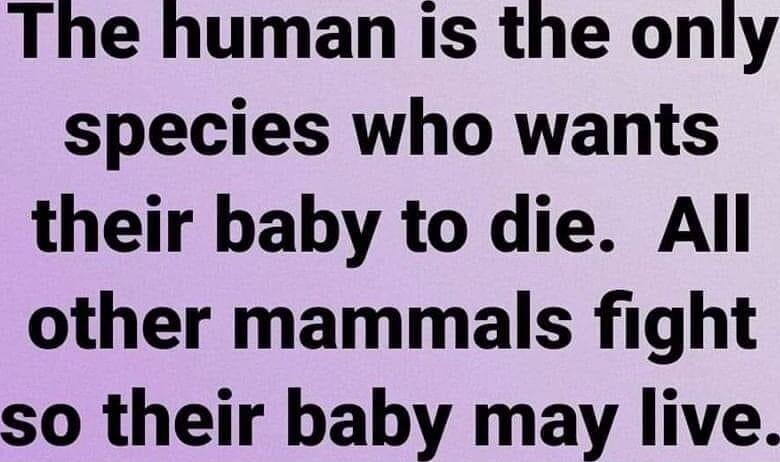 The human is the only species who wants their baby to die All other mammals fight so their baby may live